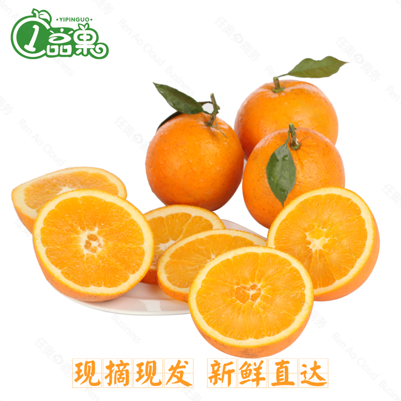湖南麻阳脐橙小果5斤包邮